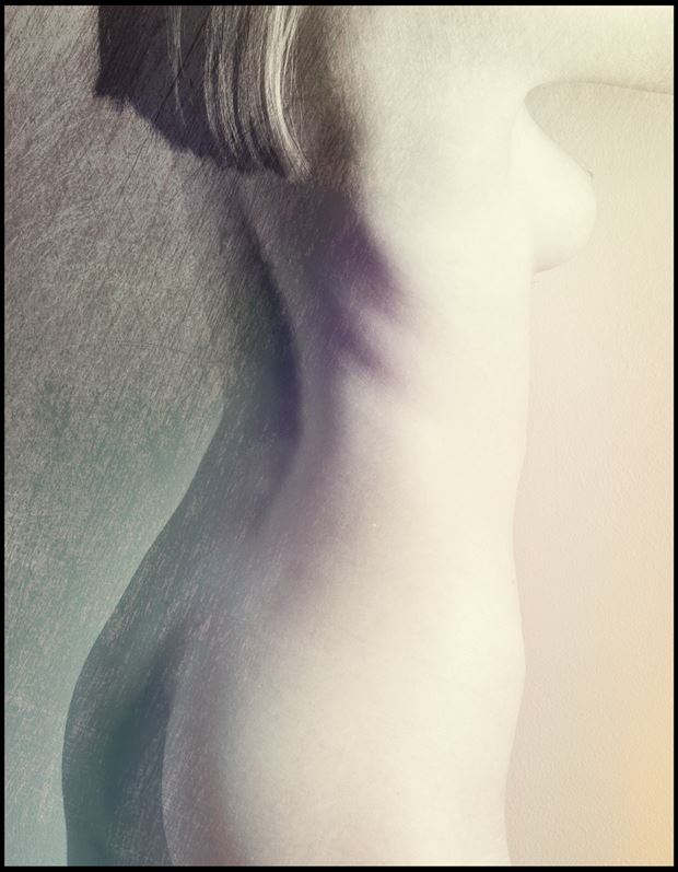 torso artistic nude photo by photographer imageguy