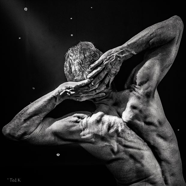 torso figure study photo by artist artfitnessmodel