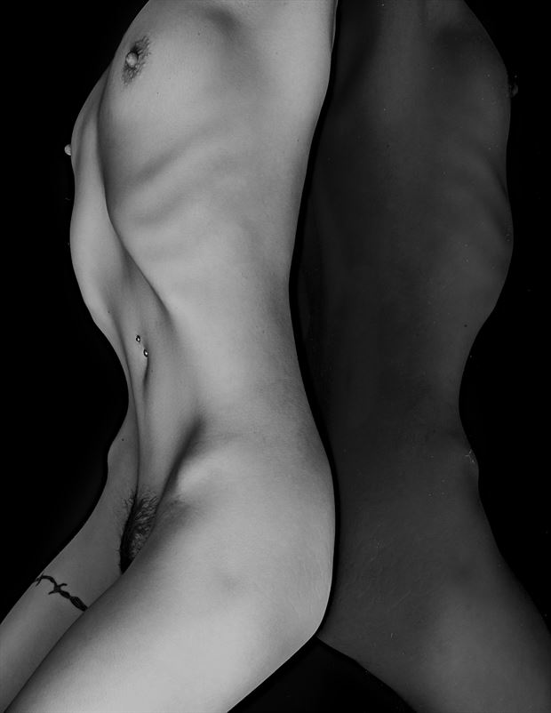torso for figure study artistic nude photo by model blackswann_portfolio