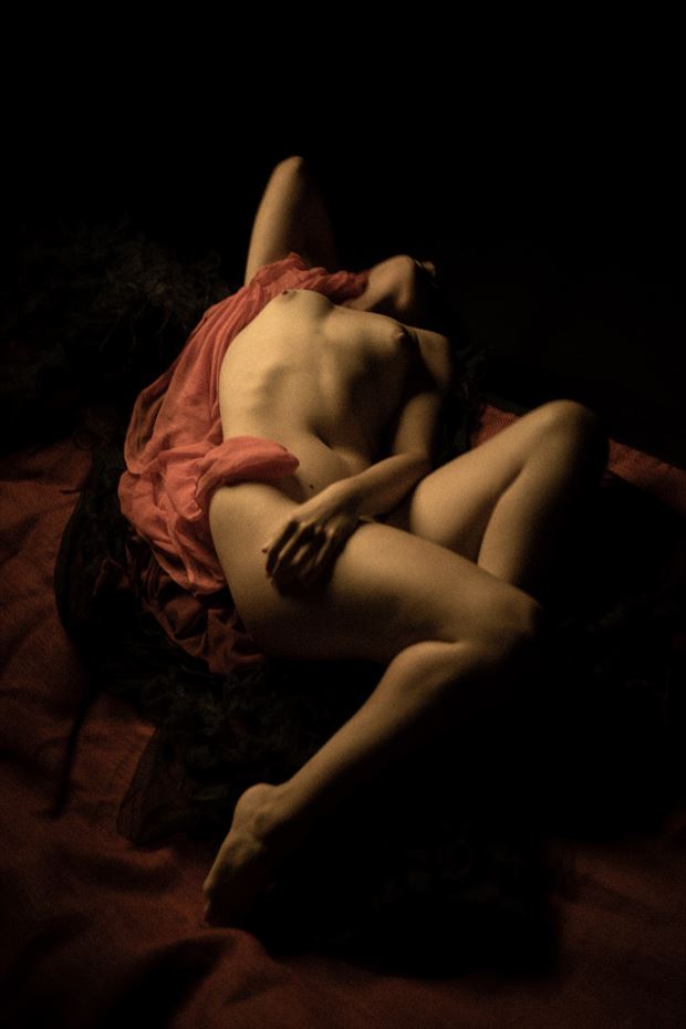 touch of silk artistic nude photo by photographer majo