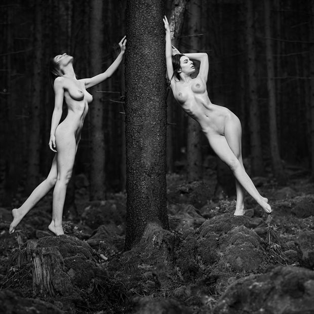 touching the tree artistic nude photo by photographer kuti zolt%C3%A1n hermann