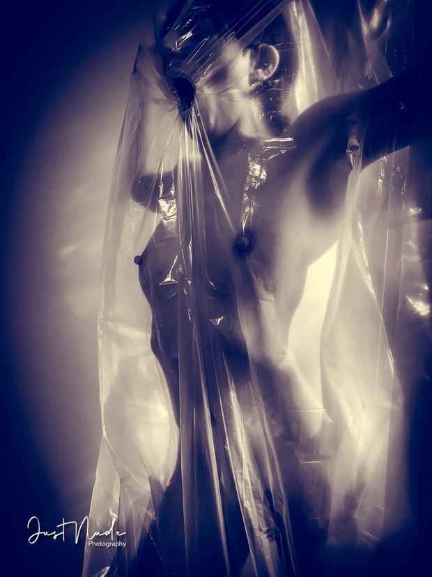 transparant nude artistic nude artwork by photographer fritsvansambeek nl