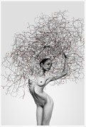 tree Artistic Nude Photo by Model vik tory