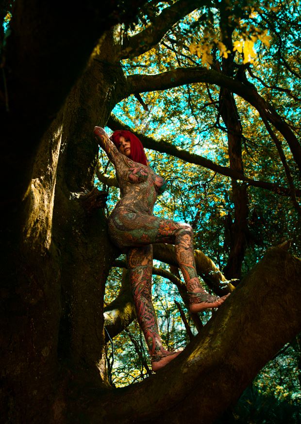 tree climbing with gayle artistic nude photo by photographer damian diviny