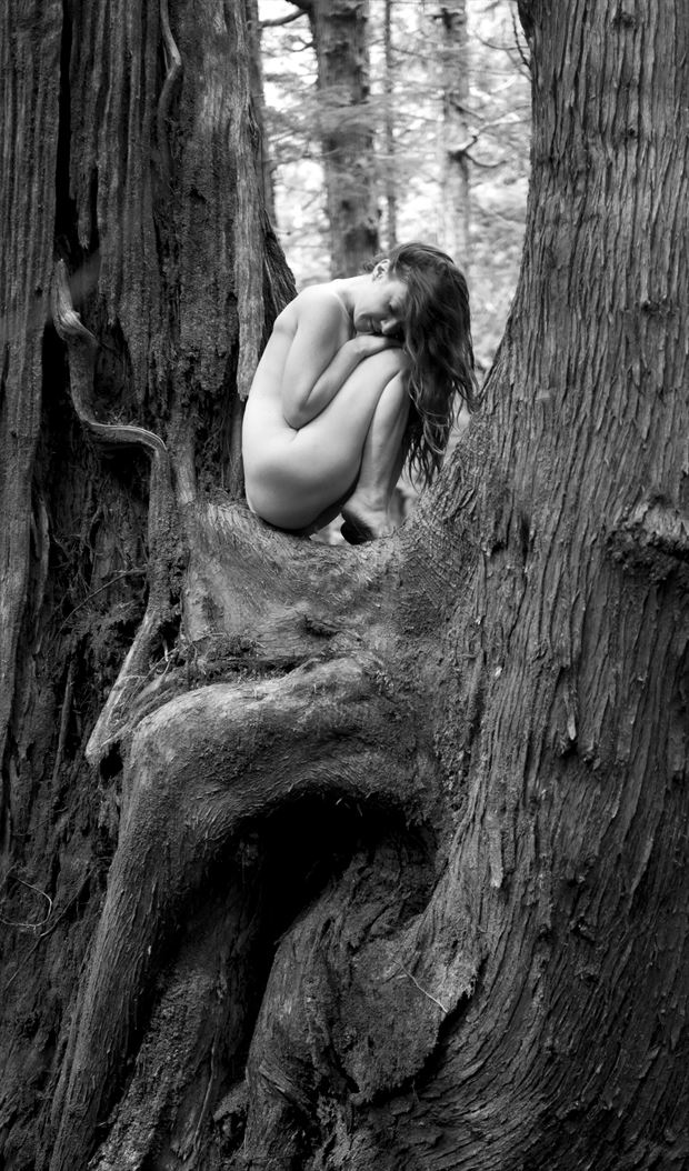 tree house artistic nude photo by photographer eric lowenberg