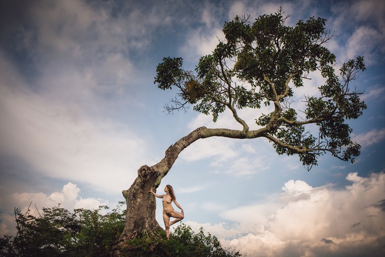 tree nymph artistic nude photo by photographer gerardchillcott