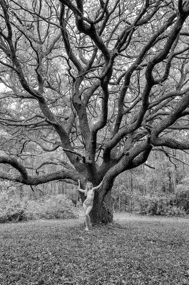 tree of life artistic nude photo by photographer longleaf imagery