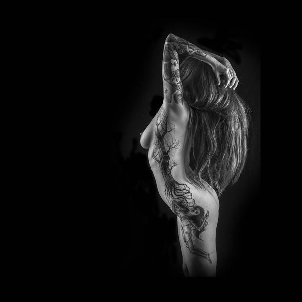 tree of life artistic nude photo by photographer natural imaging