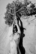 tree of life artistic nude photo by photographer philip turner