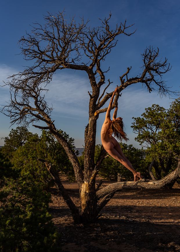 Trees Nude Art Photography Curated By Photographer Stevegd