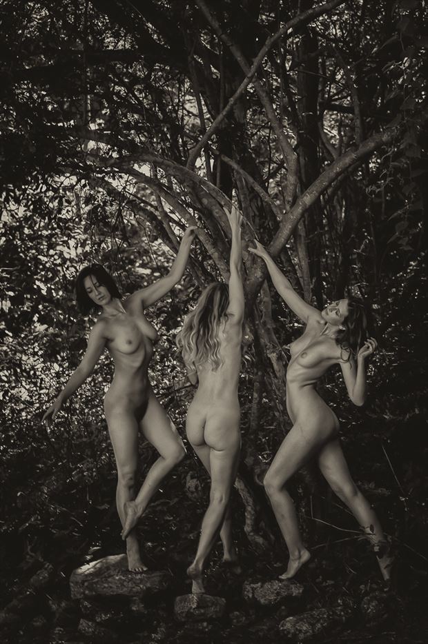 trees artistic nude photo by photographer stevegd