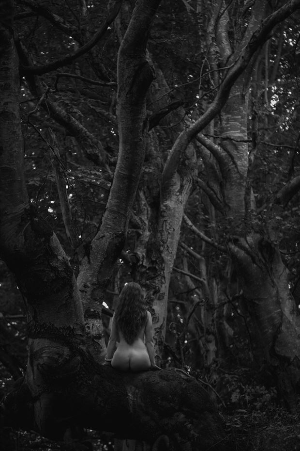 trees disorder artistic nude photo by photographer cosmin giurgiu