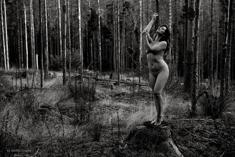 trees i artistic nude photo by photographer drachenphoto