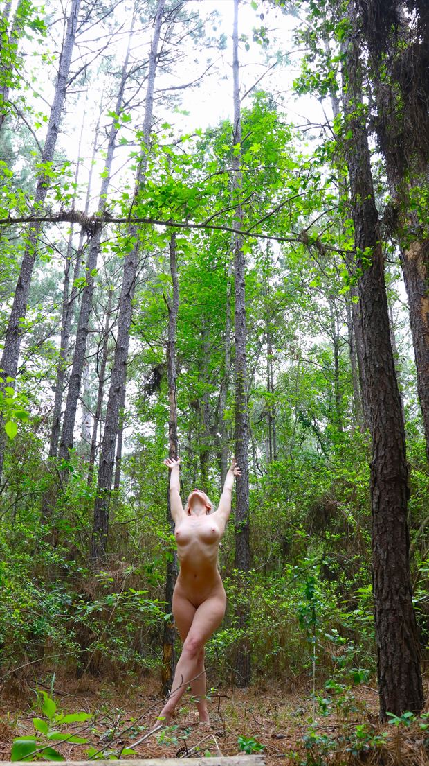 tribute to the trees artistic nude photo by photographer comet photos