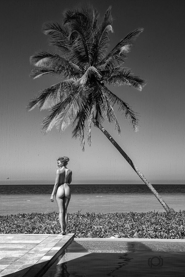 tropical daydreams artistic nude photo by model alaina wulf