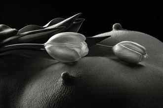 tulips and breasts artistic nude photo by photographer thatzkatz
