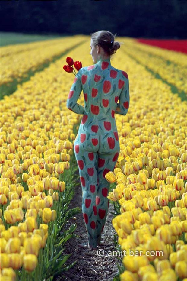 tulips ii nature artwork by photographer bodypainter