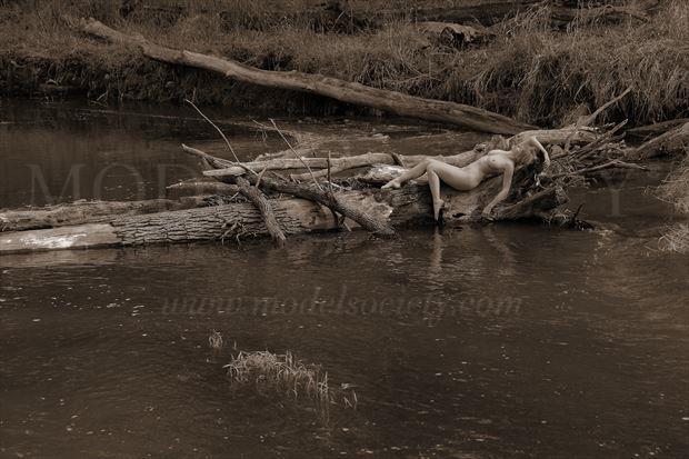 turtle river state park nd artistic nude photo by photographer ray valentine