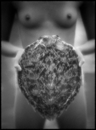 turtle shell artistic nude photo by photographer bradmiller