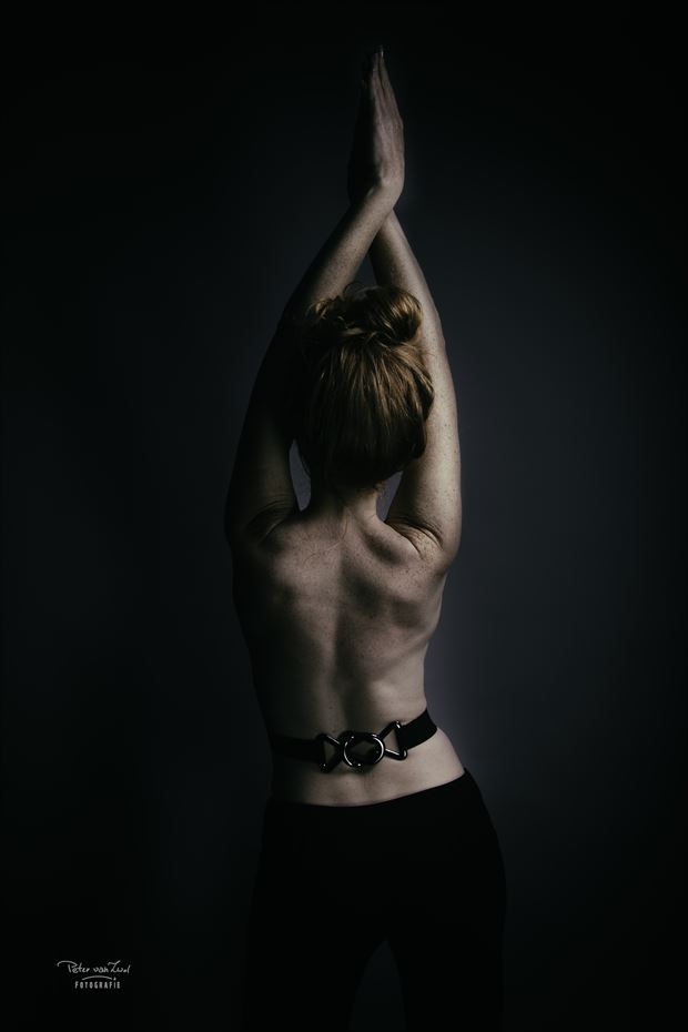 twist artistic nude photo by photographer peter van zwol