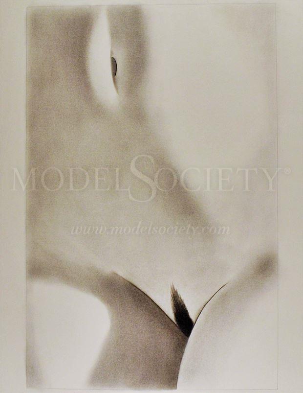 two jewels artistic nude artwork by artist the artist s eyes