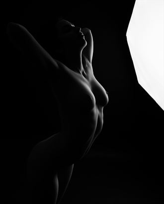 under the light artistic nude photo by photographer alejandro vaccarili