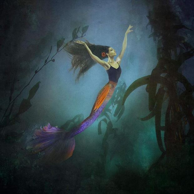 under the sea nature photo by photographer crystallynn