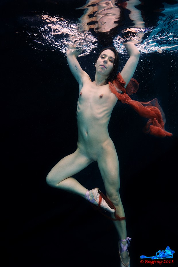 underwater ballet Artistic Nude Photo by Photographer Bogfrog