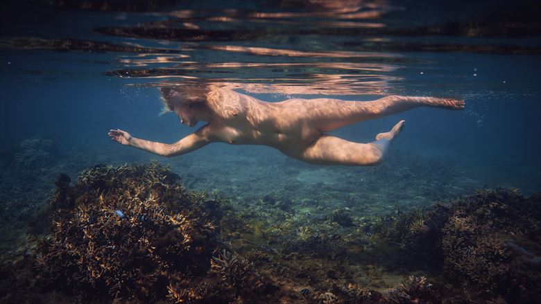 underwater fantasies artistic nude photo by photographer dml