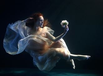 underwater ivory flower sensual photo by photographer figure and form