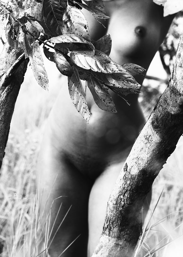 unreal artistic nude photo by photographer ikechukwu praiz