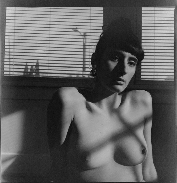 untitled  Artistic Nude Photo by Photographer Johnny Sullivan
