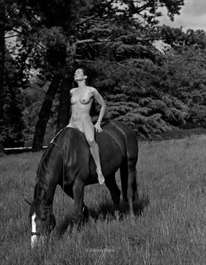 vanessa on a stallion artistic nude photo by photographer gibson