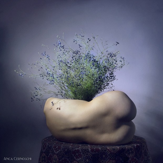 vase Artistic Nude Photo by Photographer Anca Cernoschi