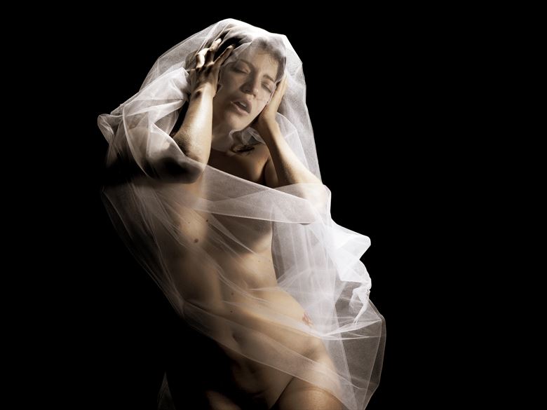 veil artistic nude artwork by photographer danielmeshel