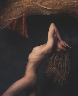 veil of tears artistic nude artwork by photographer neilh