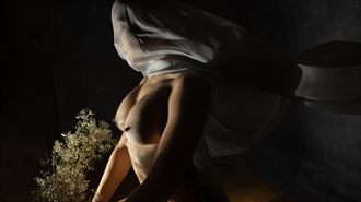 veiled artistic nude photo by photographer eye lens light