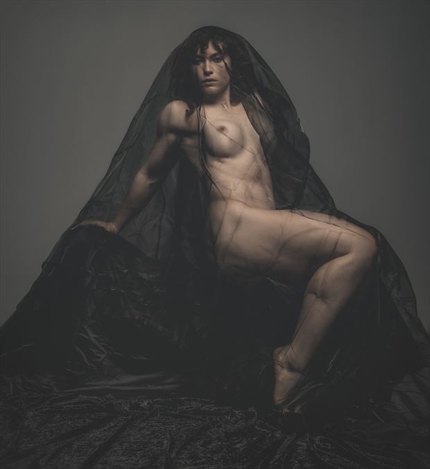 veiled beauty artistic nude artwork by photographer neilh