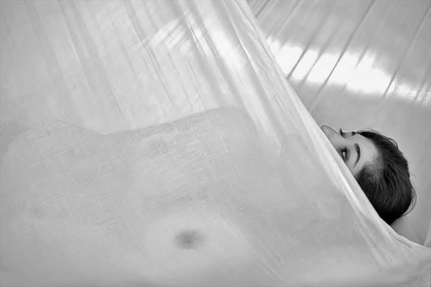 veiled desire artistic nude artwork by photographer robert lee bernard