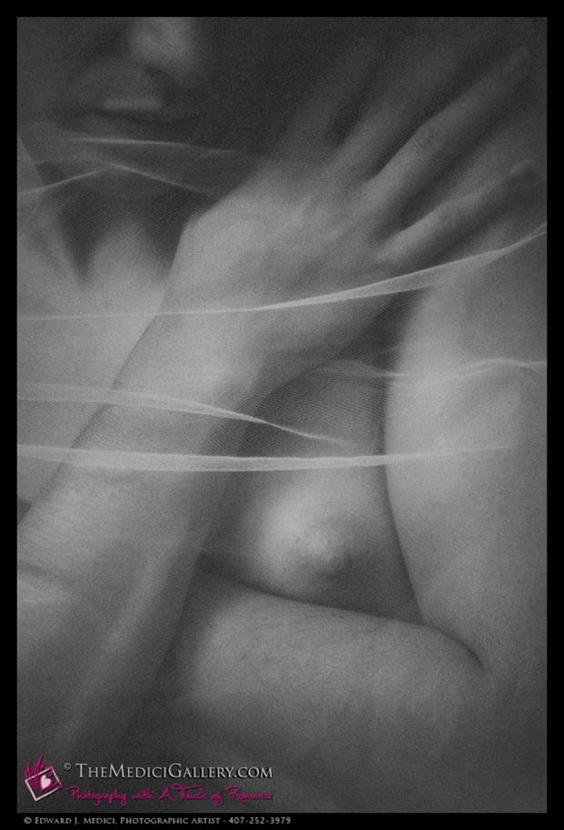 veiled embrace artistic nude photo by photographer themedicigallery