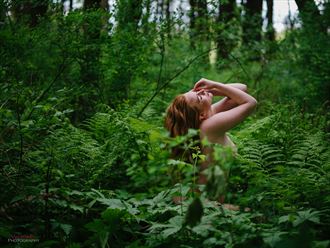 venus of the ferns nature photo by photographer acuity