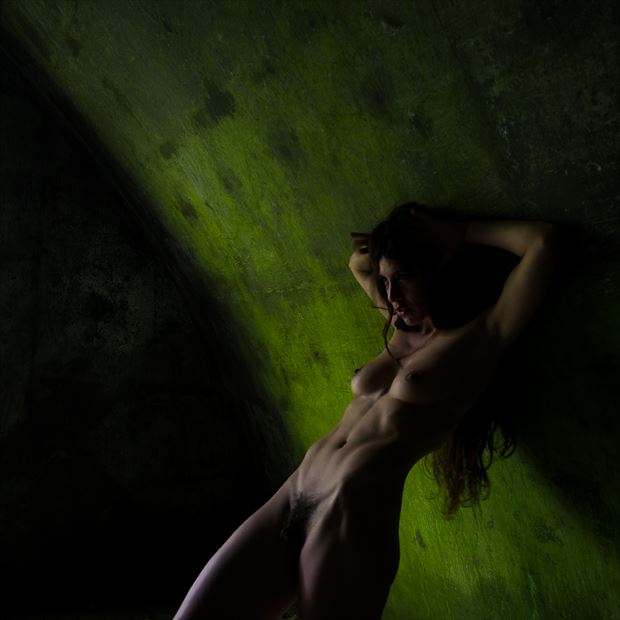verde artistic nude photo by photographer greg hensel