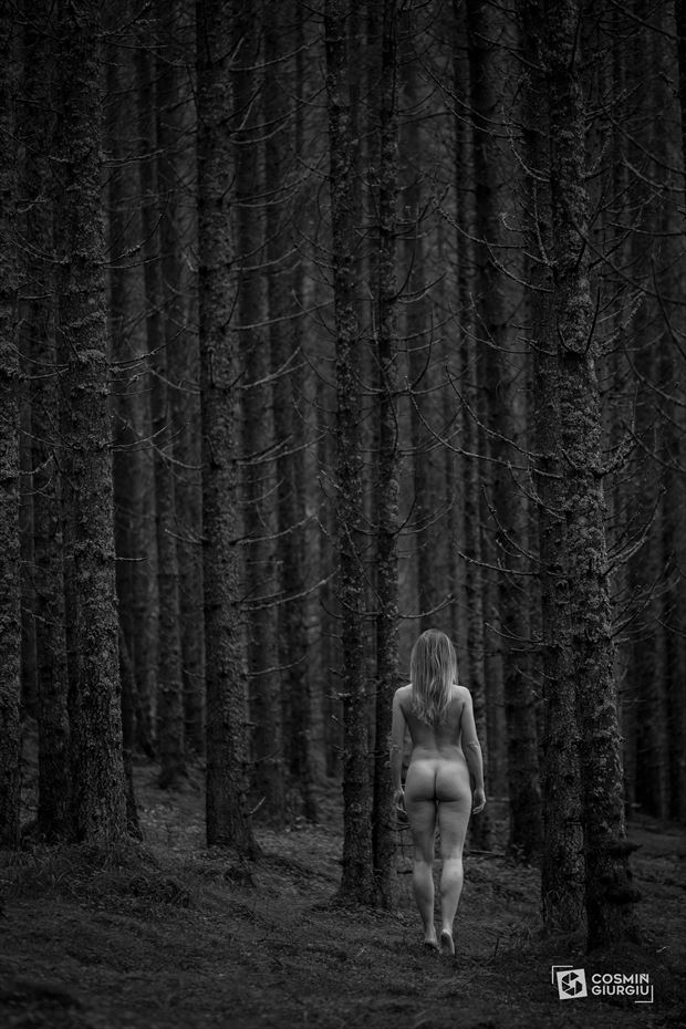 verticality artistic nude artwork by photographer cosmin_giurgiu