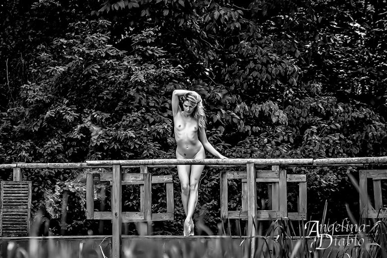 view from the bridge artistic nude photo by photographer angelina diablo