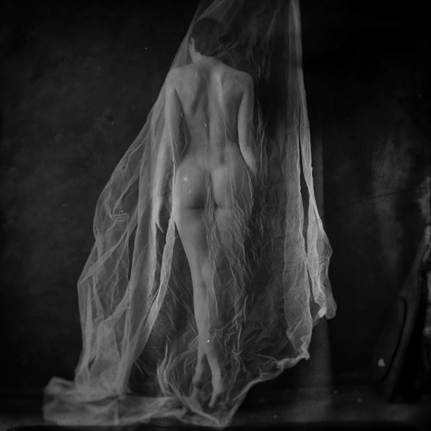 viki artistic nude photo by photographer jarrod
