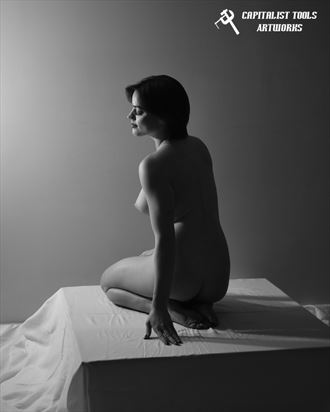 violet 2 3 artistic nude photo by photographer capitalist tools