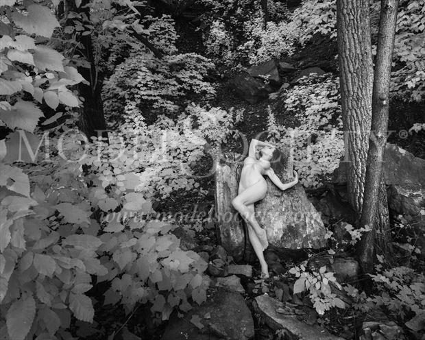 vivian bosca magica ir artistic nude photo by photographer fotoflair