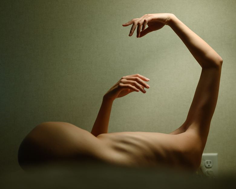 vivian cove artistic nude artwork by photographer mike gillotti
