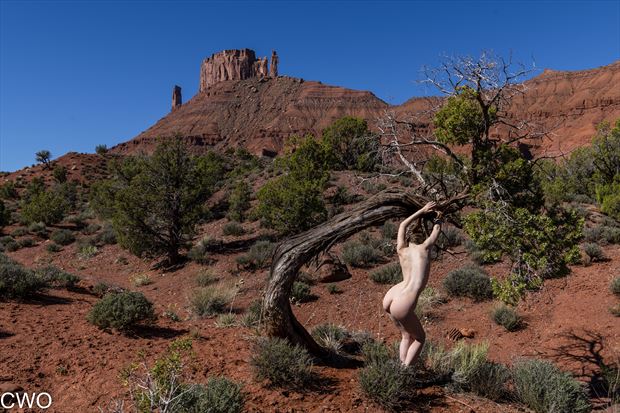 vivian of the desert artistic nude photo by photographer charterso