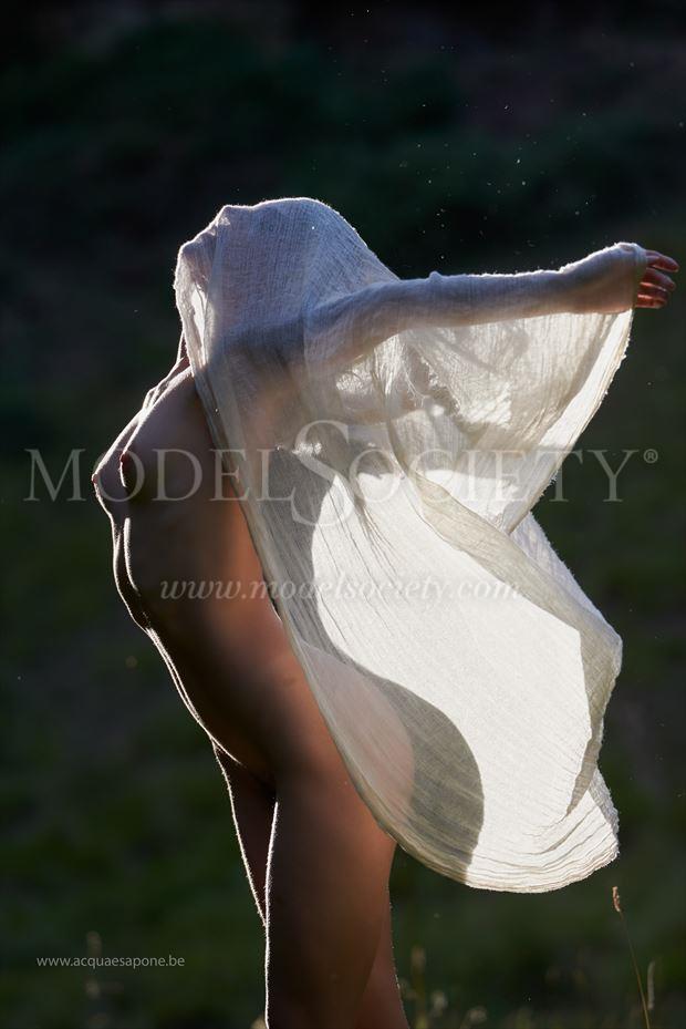 voile veil artistic nude photo by photographer acqua e sapone